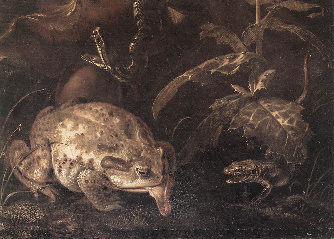 Still-Life with Insects and Amphibians (detail) qr